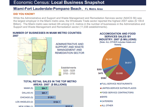 Economic Census: Local Business Snapshots